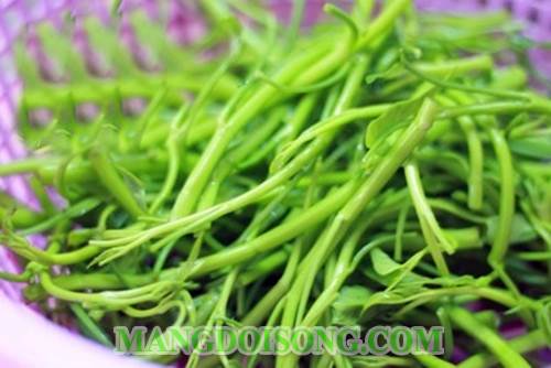 Cách làm rau muống xào thịt bò xanh tươi ngon thơm lừng bắt mắt như nhà hàng 2