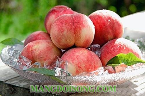 Cách làm sinh tố đào thơm ngon tươi mát bằng máy xay sinh tố giúp sáng da đẹp dáng 1