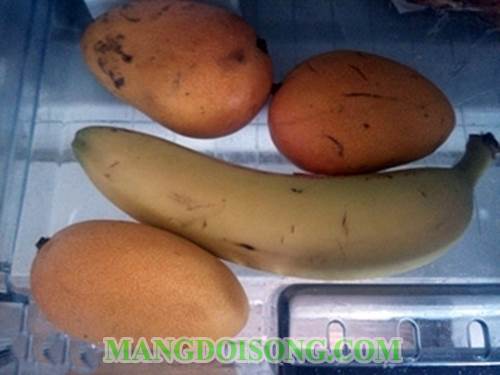 Cách làm sinh tố trái cây 100% thành phần tự nhiên giúp đẹp da gọn dáng đập tan cái nóng mùa hè 2