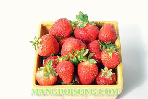 Cách làm sinh tố xoài dâu tây thơm ngon đẹp mắt tách thành 2 lớp trông như các batender pha chế chuyên nghiệp 1