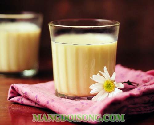 Cách làm sữa bắp hạnh nhân thơm ngọt ngọt tự nhiên đơn giản ngay tại bếp gia đình 5