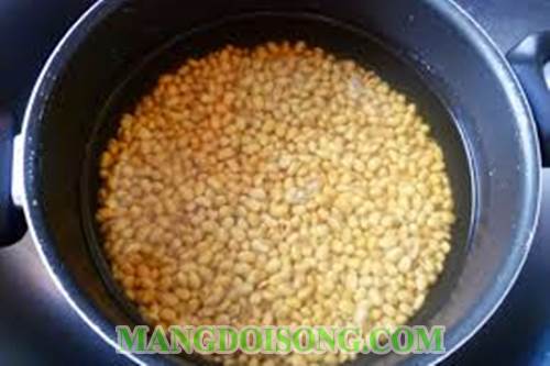 Cách làm sữa đậu nành trà xanh thơm ngon tốt cho đa đẹp cho dáng phòng chống ung thư 1