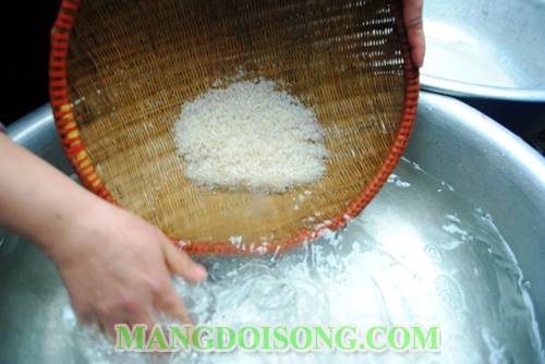 Cách làm sữa gạo thơm ngon chưa nhiều lactose tốt cho sức khỏe mọi người 1