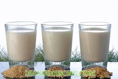 Cách làm sữa gạo thơm ngon chưa nhiều lactose tốt cho sức khỏe mọi người 