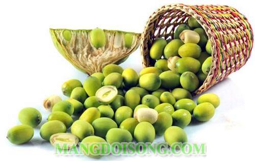 Cách làm sữa hạt sen ngon mới lạ cho cả gia đình thưởng thức tốt cho sức khỏe mọi người 1