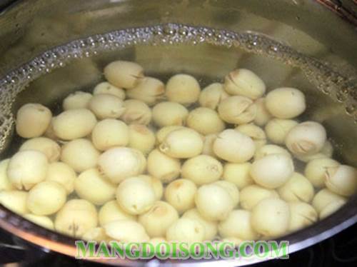 Cách làm sữa hạt sen ngon mới lạ cho cả gia đình thưởng thức tốt cho sức khỏe mọi người 2