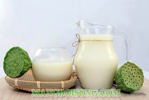 Cách làm sữa hạt sen ngon mới lạ cho cả gia đình thưởng thức tốt cho sức khỏe mọi người 6