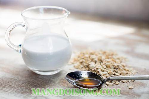 Cách làm sữa yến mạch mật ong thơm ngon đơn giản ngay tại bếp gia đình mà không phải đi mua ngoài hiệu 5