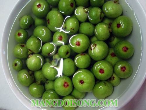 Cách làm sung muối giòn ngon dùng làm món ăn ngon cho bữa cơm gia đình để lâu không bị hỏng 2