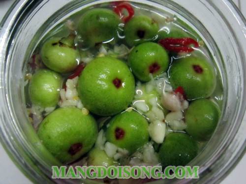 Cách làm sung muối giòn ngon dùng làm món ăn ngon cho bữa cơm gia đình để lâu không bị hỏng 3