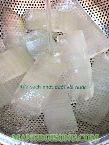 Cách làm thạch nha đam đường phèn giòn tan dùng để chế biến đồ uống tươi mát cho ngày hè nóng bức 3