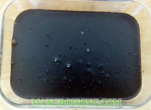 Cách làm thạch sương sáo nước cốt dừa ngon bổ rẻ cho trưa hè giải nhiệt không lo bị nóng trong người 4