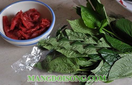 Cách làm thịt bò xào lá lốt thơm ngon bổ dưỡng cung cấp nhiều chất đạm bồi bổ cơ thể ngày giao mùa 1