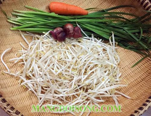 Cách muối dưa giá ngon giòn dùng được ngay sau một ngày chế biến bảo quản được lâu không hỏng 1