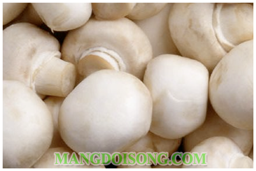 Cách nấu cà ri sò điệp chay ngon đẹp mắt như trong nhà hàng đơn giản tại nhà 1