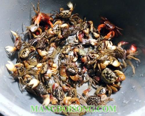 Cách nấu canh cáy rau đay mướp ngon mát dễ trôi cơm vào những ngày hè oi bức 1