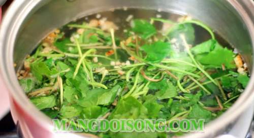 Cách nấu canh rau má tôm bằm ngon ngọt mát làm xua tan cái nắng nóng oi bức của mùa hè 4