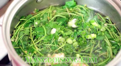 Cách nấu canh rau má tôm bằm ngon ngọt mát làm xua tan cái nắng nóng oi bức của mùa hè 5