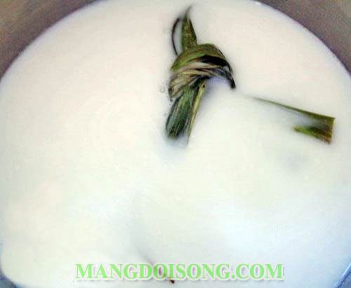 Cách nấu chè củ năng nước cốt dừa ngon mát thơm ngọt tuyệt vời dùng làm món giải nhiệt cho cơ thể 1