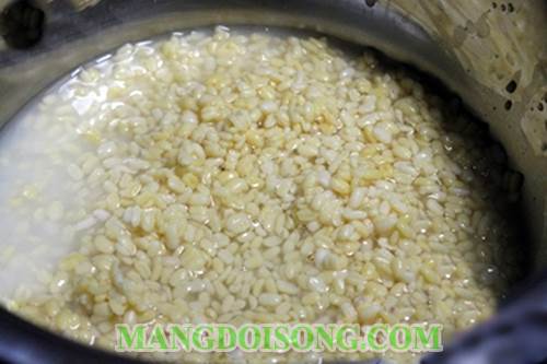 Cách nấu chè đậu xanh long nhãn thạch dừa ngon mát đơn giản dễ làm không thể thiếu trong mùa hè 1