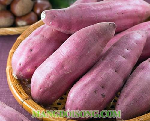 Cách nấu chè khoai lang nước cốt dừa ngon trông đẹp mắt như ăn ngoài nhà hàng 1