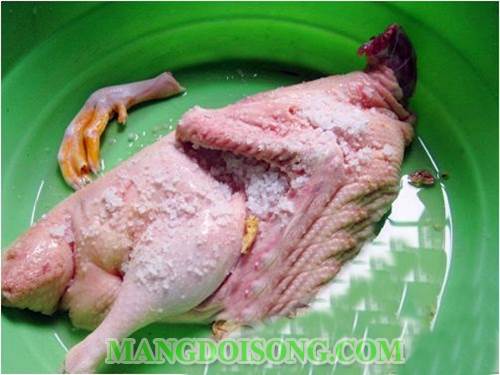 Cách nhổ lông vịt sạch nhanh khử mùi hôi của vịt và cách chặt thịt cho khỏi dai đơn giản theo kinh nghiệm truyền thống mang lại hiệu quả cao nhất 4