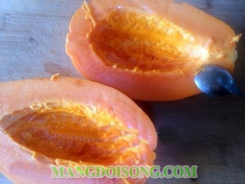 Cách pha chế sinh tố đu đủ sữa chua ngon đơn giản nhất quả đất thưởng thức vào là mê ngay 2