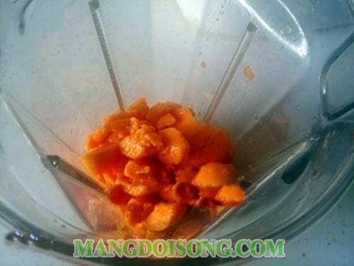 Cách pha chế sinh tố đu đủ sữa chua ngon đơn giản nhất quả đất thưởng thức vào là mê ngay 3