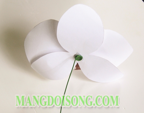 Cách làm hoa Lan Hồ Điệp handmade cho Bảo Bình 5