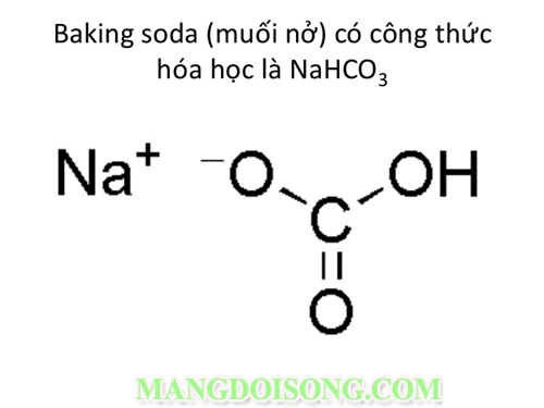 Baking soda là gì Baking soda mua ở đâu Tác dụng của baking soda 1