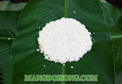 Cách gói bánh chưng đẹp ngon ngày tết không dùng khuôn bảo quản được lâu không hỏng 9