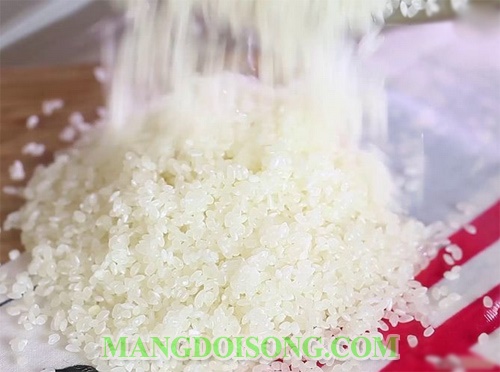 Cách là sushi ngon trứng cá hồi thanh cua cuộn rong biển truyền thống Nhật Bản đơn giản tại nhà 3
