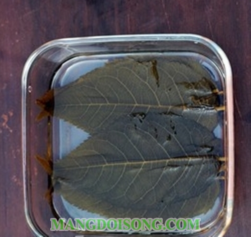 Cách làm bánh trung thu Sakura Mochi một món ăn không thể thiếu trong dịp trung thu củ người Nhật 4