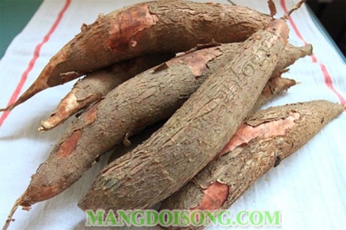 Cách làm bột năng từ củ sắn theo phương pháp truyền thống 1
