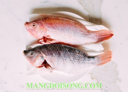 Cách làm cá rô phi om xì dầu ngon thơm phức cho bữa cơm gia đình thêm đậm đà ngon miệng