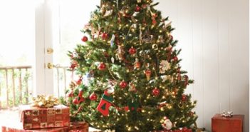 Cách làm cây thông noel bằng giấy nhún đẹp đơn giản để trang trí giáng sinh Cách làm cây thông noel bằng giấy nhún đẹp đơn giản để trang trí giáng sinh