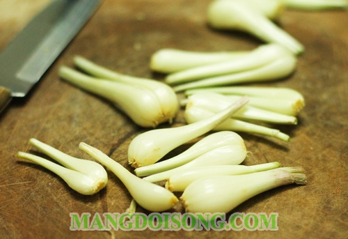 Cách làm củ kiệu chua ngọt ngon giòn không hăng cho ngày tết 3