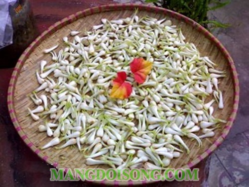 Cách làm củ kiệu chua ngọt ngon giòn không hăng cho ngày tết 4