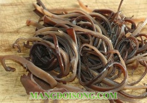 Cách làm giò thủ ngon miền bắc xào tại nhà an toàn vệ sinh thực phẩm cho ngày tết 4