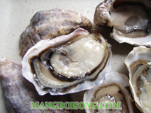 Cách làm hàu nướng bơ tỏi thơm ngon đúng điệu cho ông xã đãi đối tác tại nhà 1