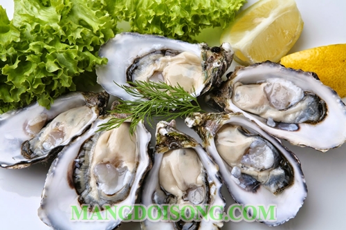 Cách làm hàu nướng mỡ hành thơm ngon đúng điệu dùng làm món nhậu ngon mà ai cũng thích 1