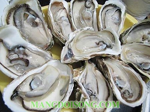 Cách làm hàu nướng phô mai thơm ngon bổ dưỡng bổ thận tráng dương tăng cường sinh lực 1