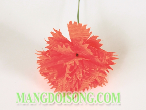 Cách làm hoa Cẩm Chướng handmade đỏ tươi đẹp rực rỡ cho những bạn gái sinh vào cung Ma Kết 4
