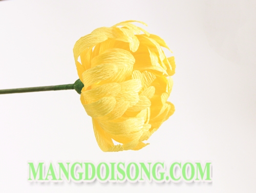 Cách làm hoa cúc đại đóa handmade đơn giản làm vật trang trí hay quà tặng nhiều ý nghĩa cho cung Bọ Cạp 7