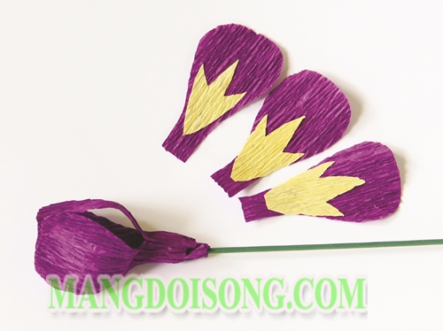 Cách làm hoa Diên Vĩ handmade màu tím thể hiện cá tính dịu dàng cho cô nàng cung Cự Giải 3