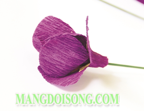 Cách làm hoa Diên Vĩ handmade màu tím thể hiện cá tính dịu dàng cho cô nàng cung Cự Giải 4