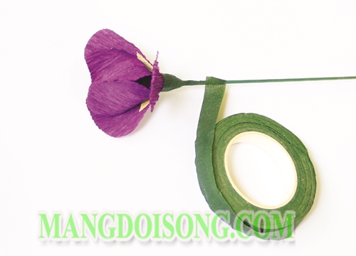 Cách làm hoa Diên Vĩ handmade màu tím thể hiện cá tính dịu dàng cho cô nàng cung Cự Giải 5