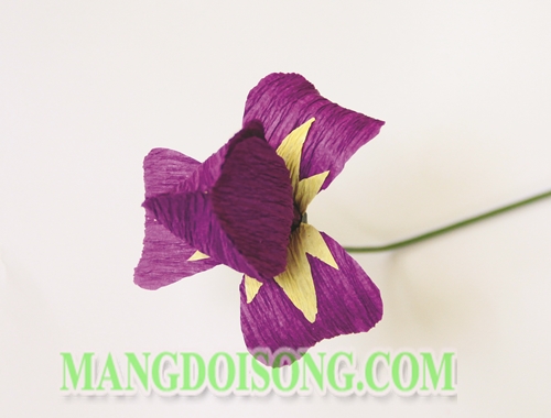 Cách làm hoa Diên Vĩ handmade màu tím thể hiện cá tính dịu dàng cho cô nàng cung Cự Giải 6