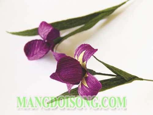 Cách làm hoa Diên Vĩ handmade màu tím thể hiện cá tính dịu dàng cho cô nàng cung Cự Giải 7