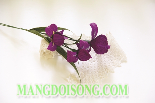 Cách làm hoa Diên Vĩ handmade màu tím thể hiện cá tính dịu dàng cho cô nàng cung Cự Giải 8